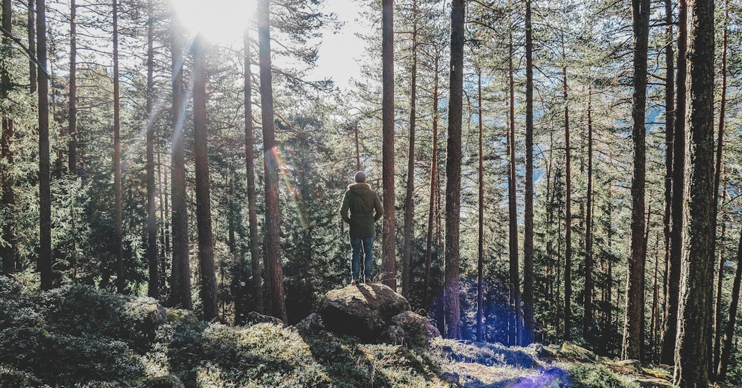 “借鸡生蛋”推关键词的新玩法，揭秘亚马逊高阶运营技巧，帮助你破圈出局