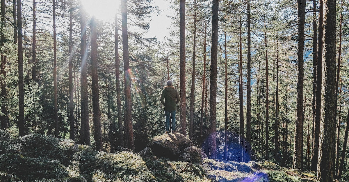 “借鸡生蛋”推关键词的新玩法，揭秘亚马逊高阶运营技巧，帮助你破圈出局