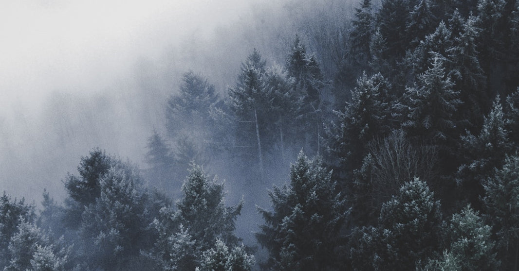 亚马逊全球开店跨境峰会重申“3D&AR功能”，Amazon 3D内容或迎来爆发,Amazon Listing重大更新