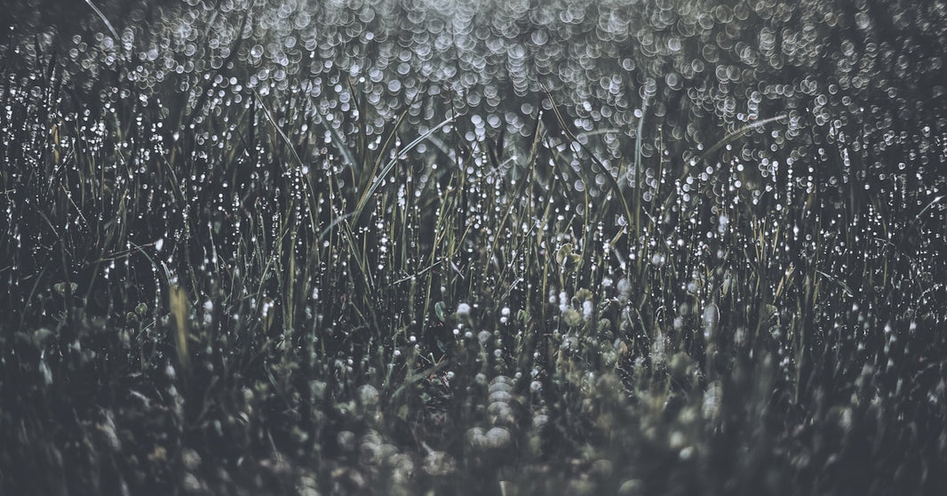 2024年7月亚马逊最新热销产品盘点