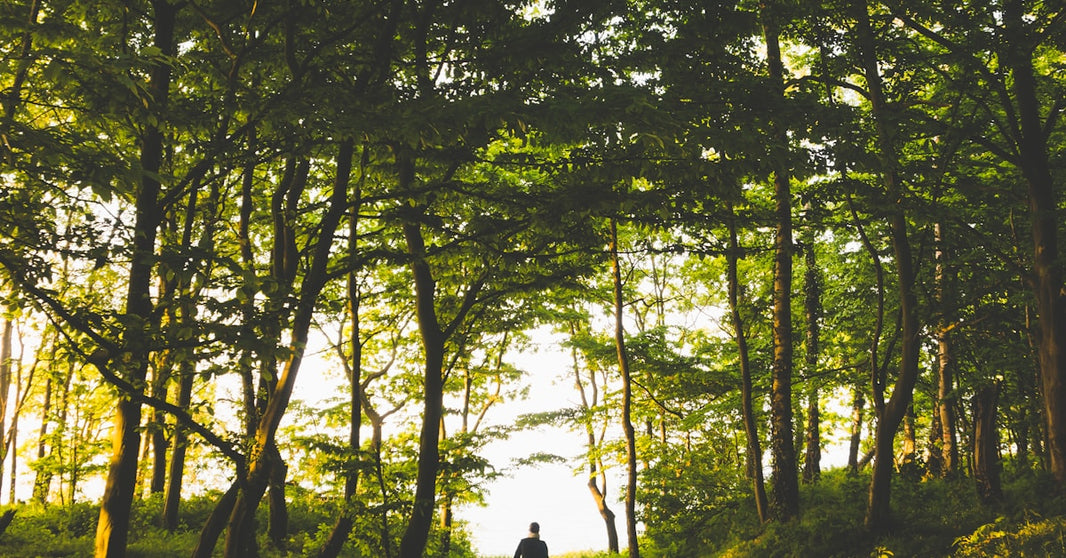 2024如何打造亚马逊爆款–站外引流