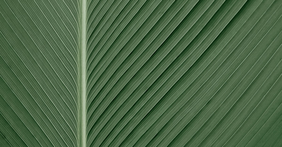 亚马逊竞价技巧，你选对了吗？（亚马逊广告竞价底层逻辑）